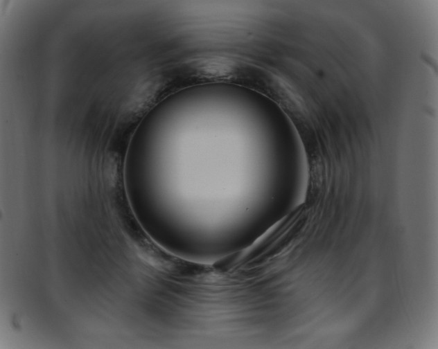 X0000097750412200803071253