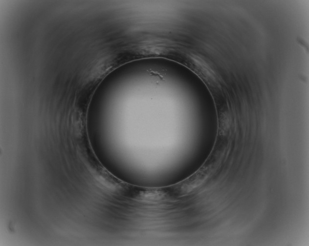 X0000097750414200803071253