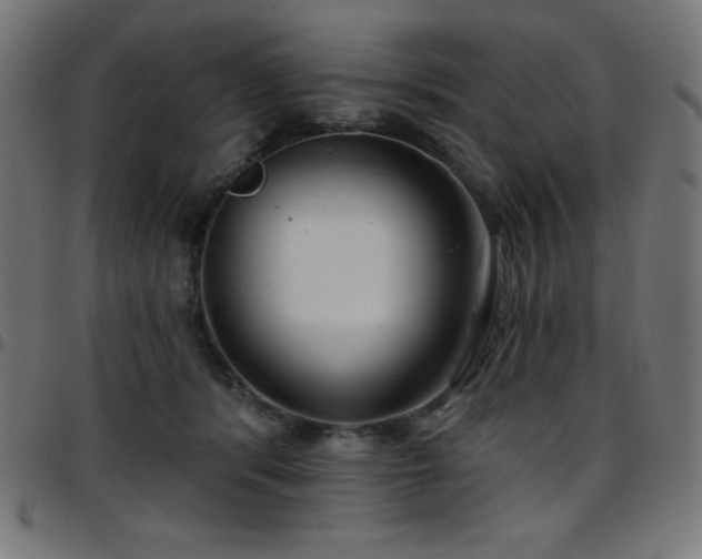 X0000097750416200803071253