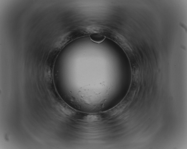 X0000097750418200803071253
