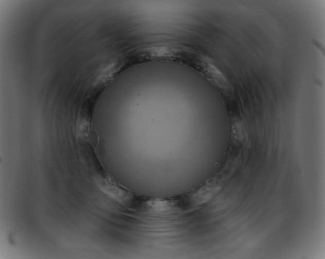 X0000097750419200803071253