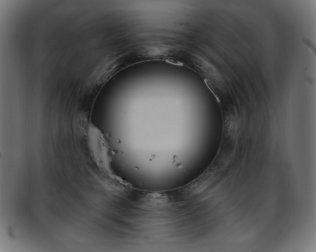 X0000097750421200803071253