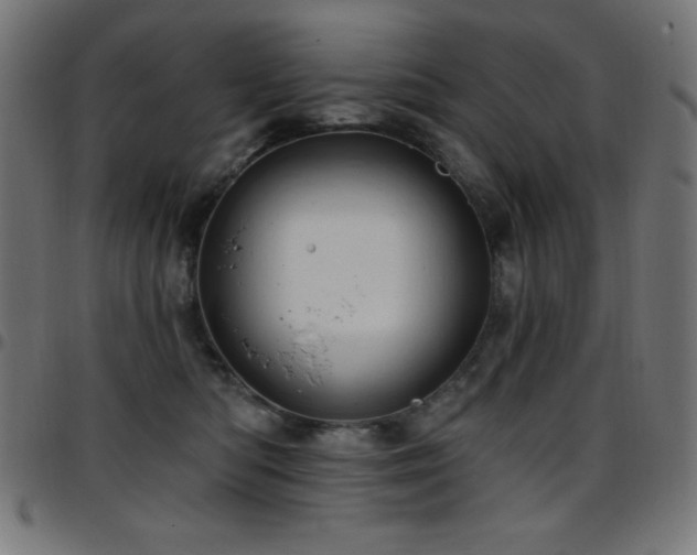 X0000097750422200803071253