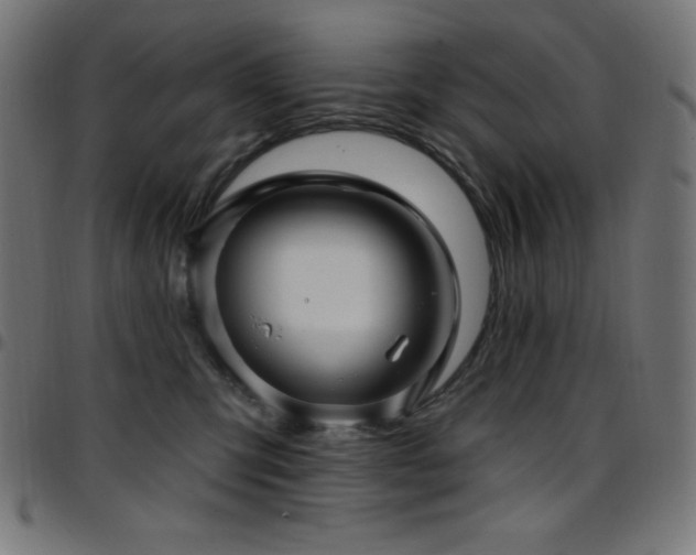 X0000097750423200803071253