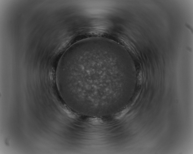 X0000097750424200803071253