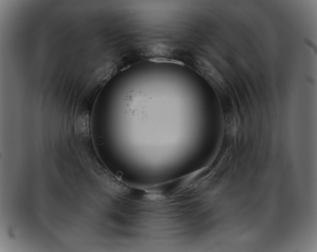X0000097750425200803071253