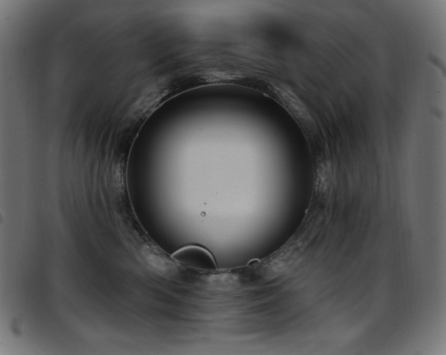 X0000097750426200803071253