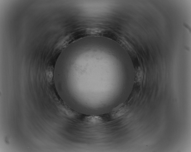 X0000097750427200803071253