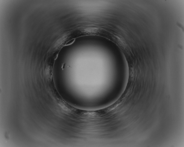 X0000097750428200803071253