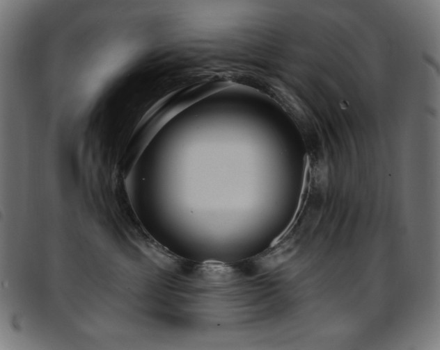 X0000097750429200803071253