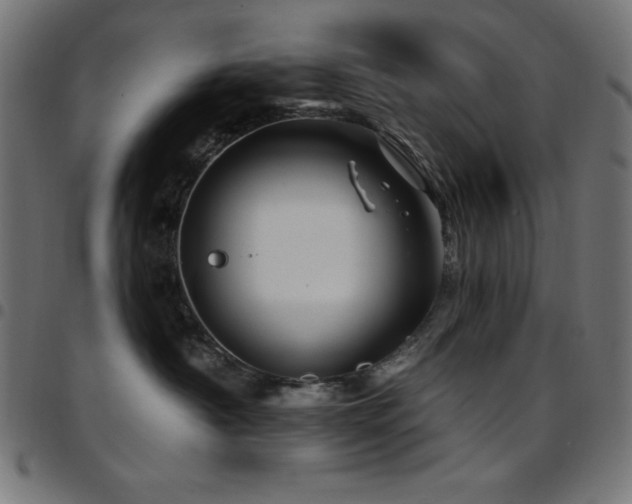 X0000097750430200803071253