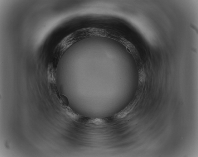 X0000097750431200803071252