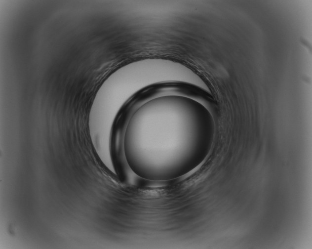 X0000097750432200803071252