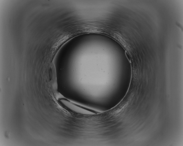 X0000097750433200803071252