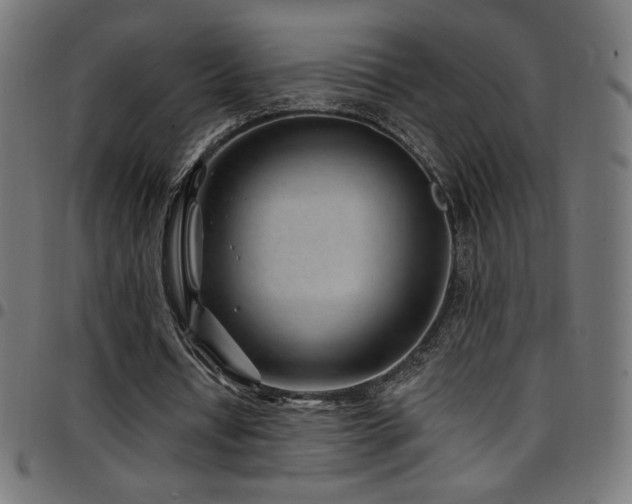 X0000097750434200803071252