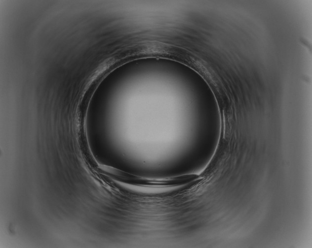 X0000097750435200803071252