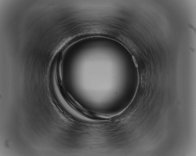 X0000097750436200803071252