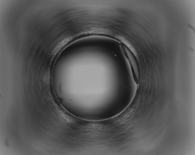 X0000097750437200803071252