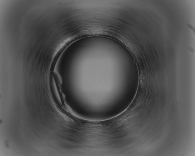 X0000097750438200803071252