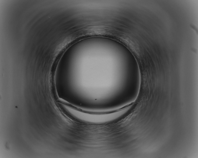 X0000097750439200803071252