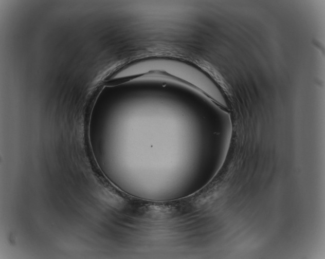 X0000097750442200803071252