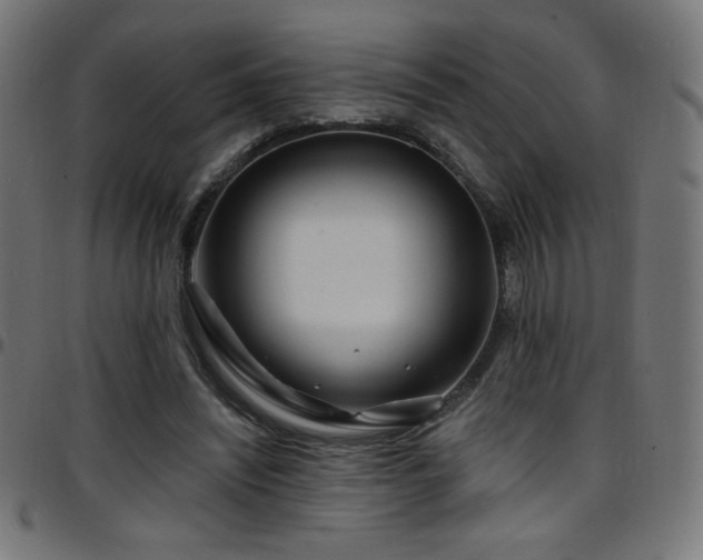 X0000097750444200803071252
