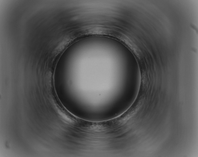 X0000097750445200803071252
