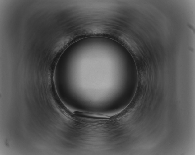 X0000097750447200803071252