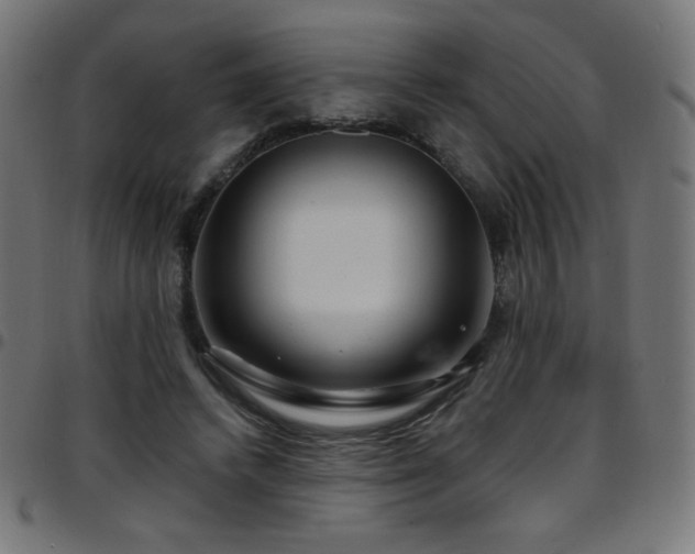 X0000097750448200803071252
