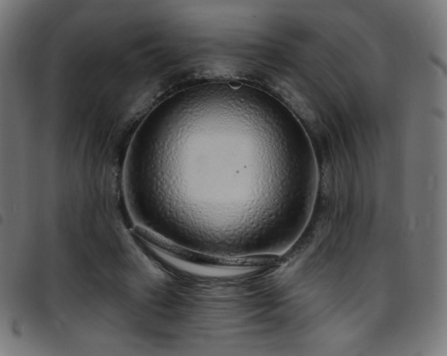 X0000097750449200803071252