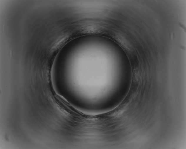 X0000097750450200803071252