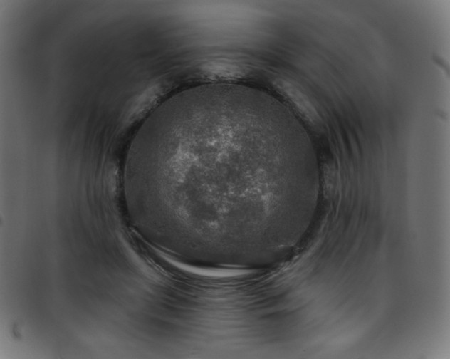 X0000097750451200803071252