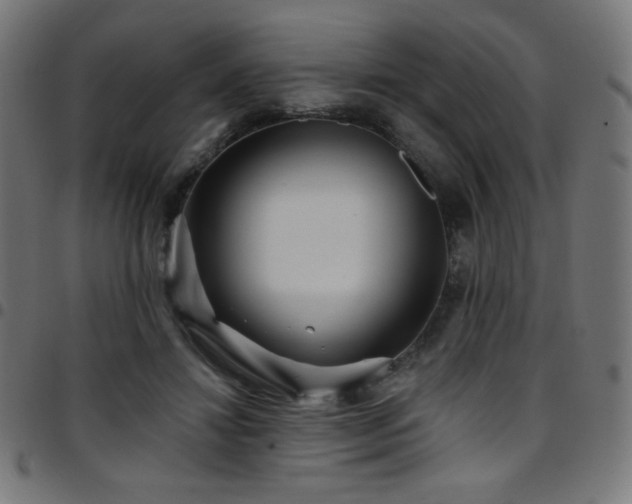 X0000097750452200803071252