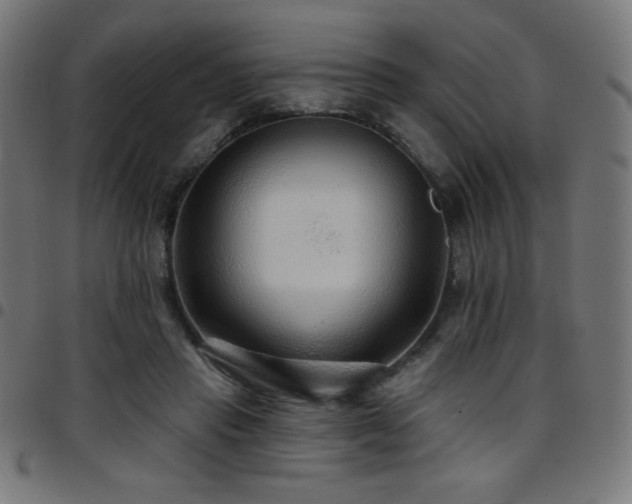 X0000097750453200803071252