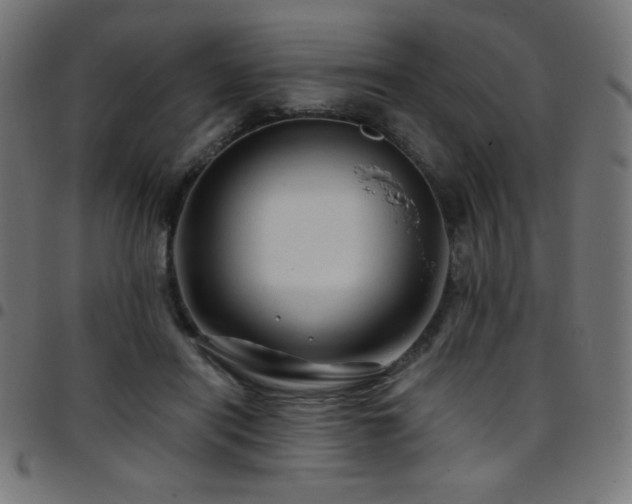X0000097750454200803071252