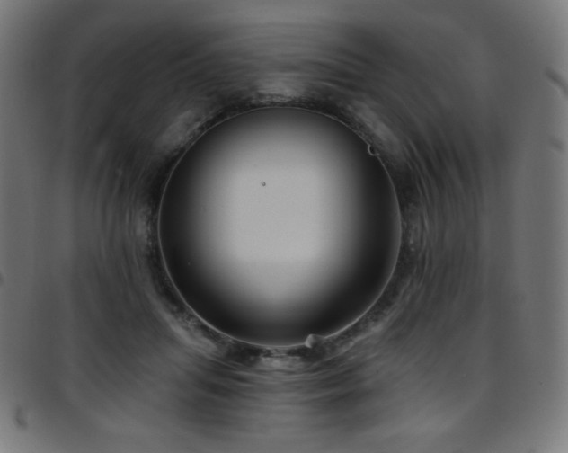 X0000097750455200803071252