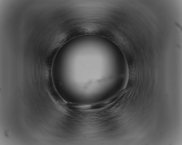X0000097750456200803071252