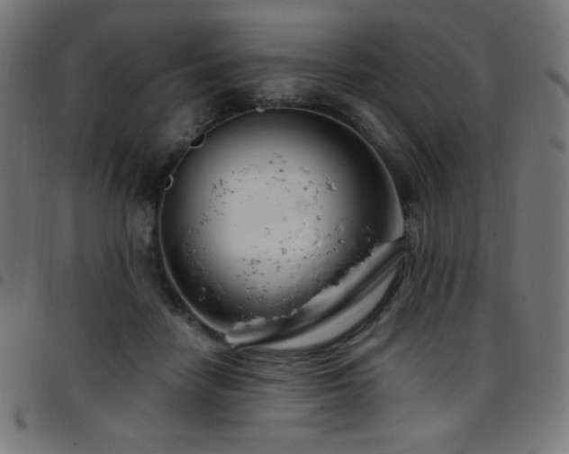 X0000097750458200803071252
