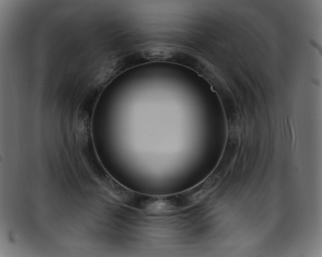X0000097750460200803071252
