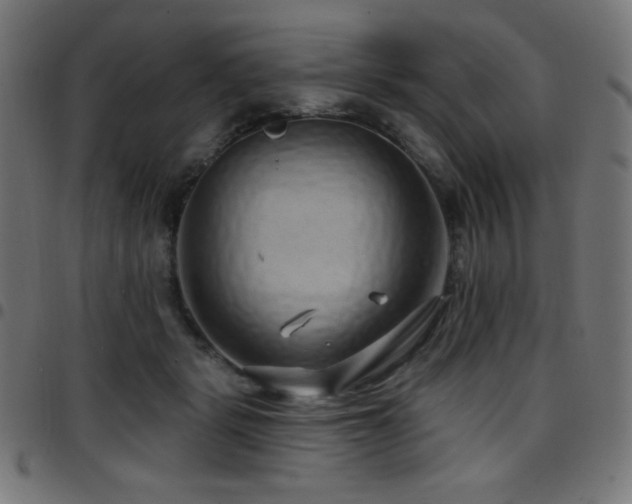 X0000097750461200803071252