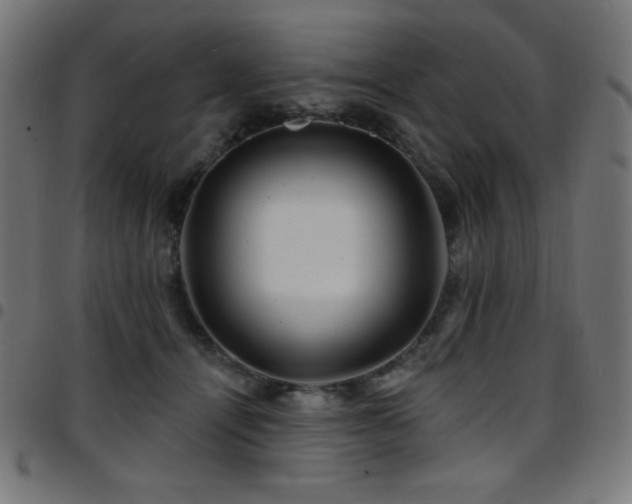 X0000097750464200803071252