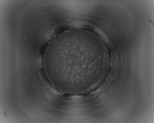 X0000097750465200803071252