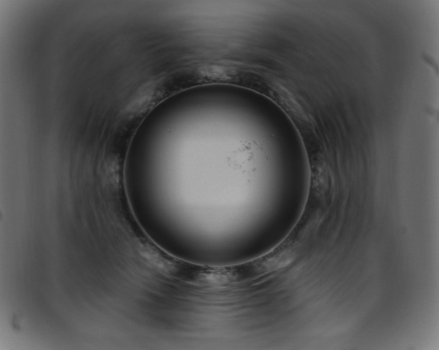X0000097750466200803071252