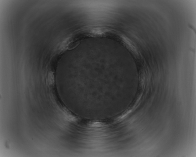 X0000097750467200803071252