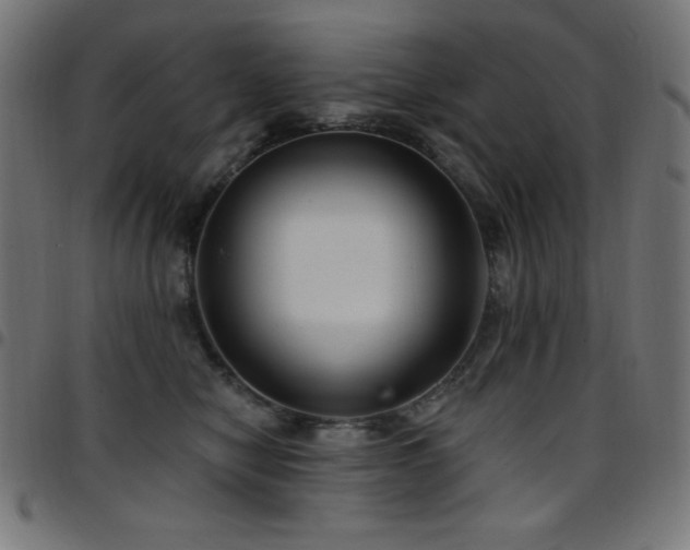 X0000097750470200803071252