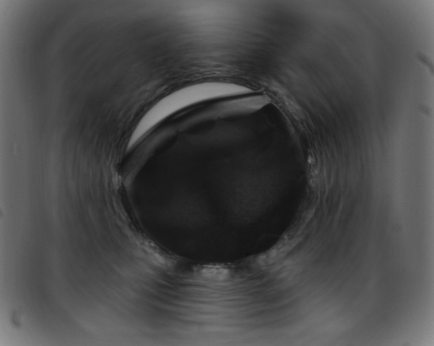 X0000097750471200803071252