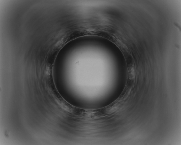X0000097750472200803071252