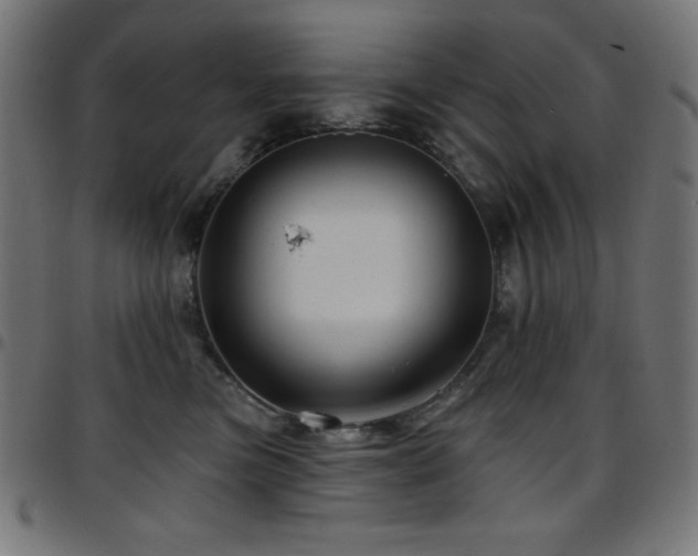 X0000097750473200803071252
