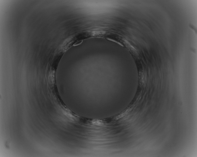 X0000097750475200803071252