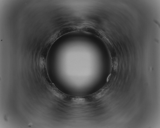 X0000097750476200803071252